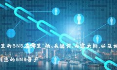 以下是关于“TP钱包里的BNB在哪里”的、关键词、