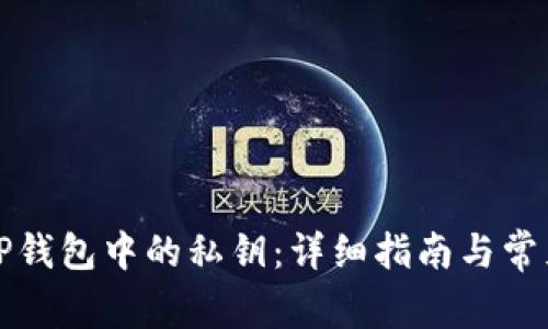 如何找回TP钱包中的私钥：详细指南与常见问题解答